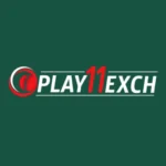 Play11exch
